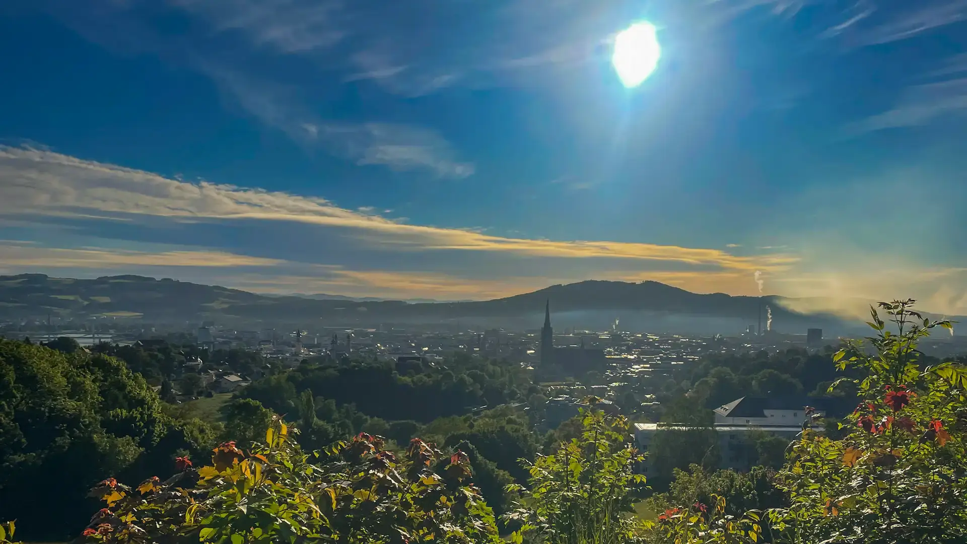 Panorama Linz Freinberg – Immobilien Linz Weitblick